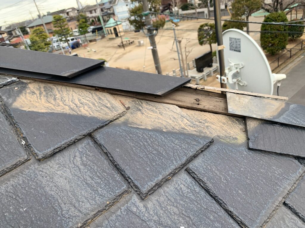 アーバニーの特徴